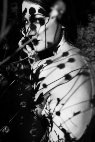 Photographie intitulée "Shadows of flowers" par Mikhail Faletkin, Œuvre d'art originale, Photographie numérique