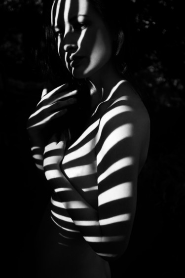 Photographie intitulée "zebra 15" par Mikhail Faletkin, Œuvre d'art originale, Photographie numérique