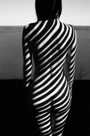 Fotografía titulada "zebra 19" por Mikhail Faletkin, Obra de arte original, Fotografía digital