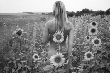 Fotografia intitolato "sunflowers 4" da Mikhail Faletkin, Opera d'arte originale, Fotografia digitale