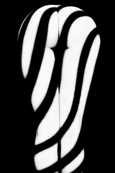 Фотография под названием "Zebra ass 3" - Mikhail Faletkin, Подлинное произведение искусства, Цифровая фотография