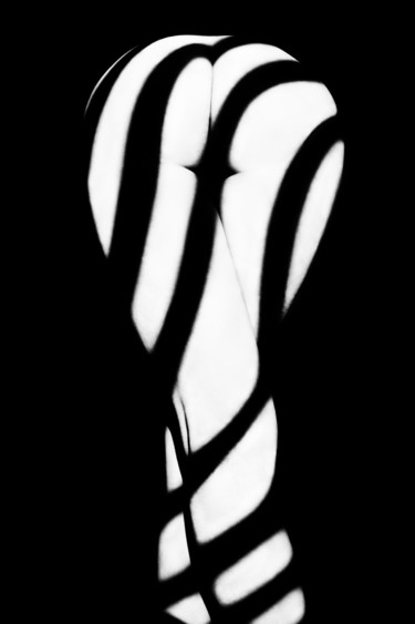 Фотография под названием "Zebra ass 4" - Mikhail Faletkin, Подлинное произведение искусства, Цифровая фотография
