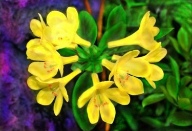 Photography titled "Cluster of yellow b…" by Miguel, Original Artwork