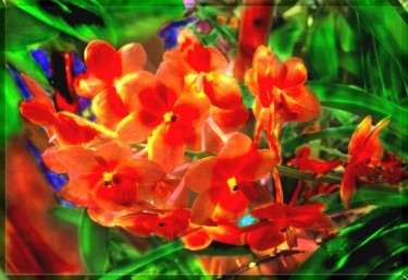 Photography titled "A cluster of red or…" by Miguel, Original Artwork