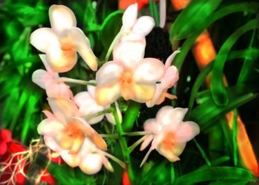 Photography titled "Faintly pink orchid…" by Miguel, Original Artwork