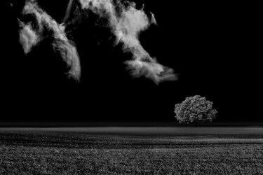 Photography titled "Tree Of Life Limite…" by Milan Karagic, Original Artwork, Digital Photography