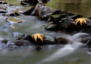 Photography titled "Stream" by Muhammed Milani, Original Artwork, Digital Photography
