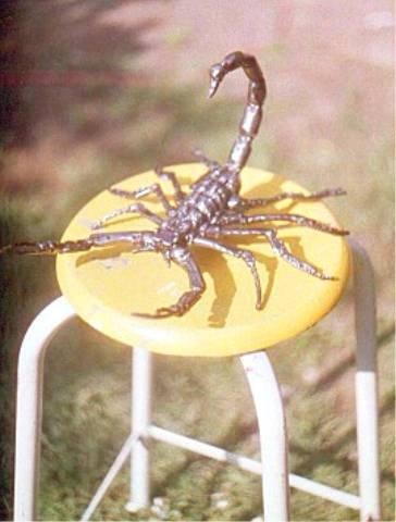 Sculpture intitulée "Scorpion" par Mile, Œuvre d'art originale