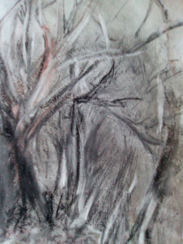 Drawing titled "intreccio-di-rami.j…" by Milena Aere, Original Artwork, Chalk