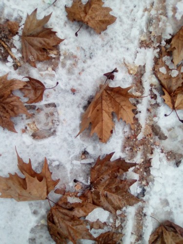 Fotografia intitolato "foglie sulla neve" da Milena Aere, Opera d'arte originale