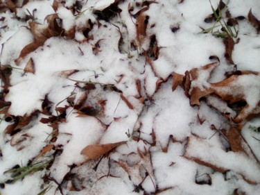 Fotografia intitolato "foglie di neve" da Milena Aere, Opera d'arte originale