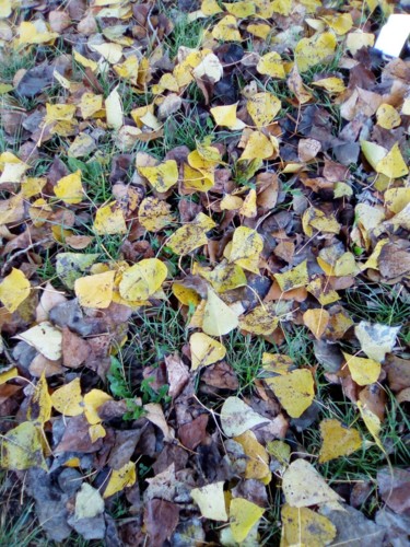 Fotografia intitolato "tappeto di foglie i…" da Milena Aere, Opera d'arte originale