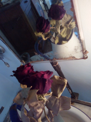 Fotografia intitolato "rose-allo-specchio.…" da Milena Aere, Opera d'arte originale