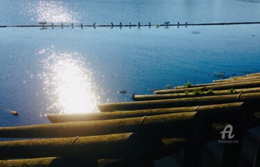 "Birds quiet afterno…" başlıklı Fotoğraf Miler Art tarafından, Orijinal sanat, Dijital Fotoğrafçılık