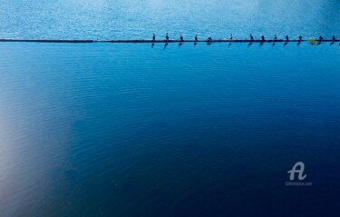 Photographie intitulée "Birds quiet afterno…" par Miler Art, Œuvre d'art originale, Photographie numérique