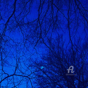 Photography titled "Blue sunset" by Miler Art, Original Artwork, Digital Photography