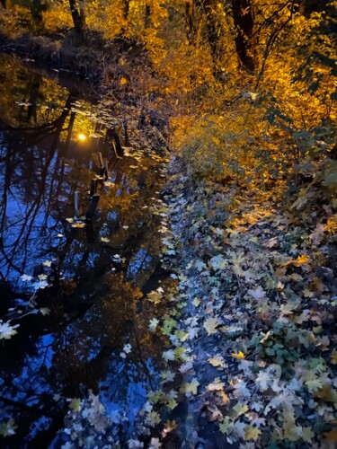 Fotografia intitolato "Last autumn" da Miler Art, Opera d'arte originale, Fotografia digitale