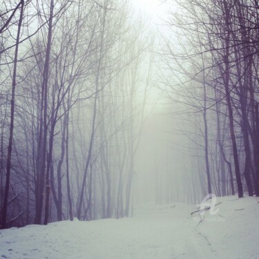 Fotografie getiteld "Last winter" door Miler Art, Origineel Kunstwerk, Digitale fotografie