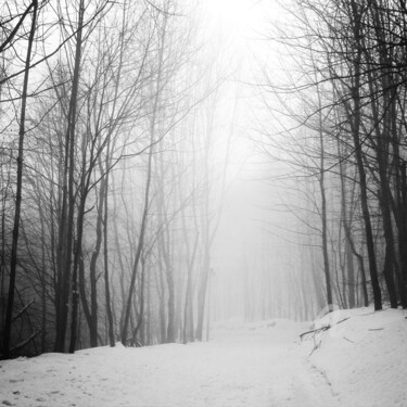 Fotografia intitolato "Last winter2" da Miler Art, Opera d'arte originale, Fotografia digitale