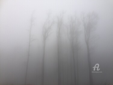 Photographie intitulée "The fog mood" par Miler Art, Œuvre d'art originale, Photographie numérique