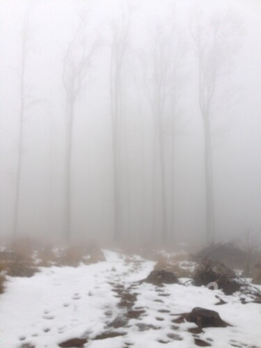 Photography titled "The fog mood 2" by Miler Art, Original Artwork, Digital Photography