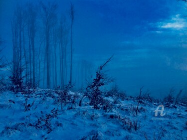 Fotografie getiteld "Nothing in Winter" door Miler Art, Origineel Kunstwerk, Digitale fotografie
