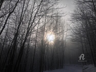 Фотография под названием "The winter sun" - Miler Art, Подлинное произведение искусства, Цифровая фотография