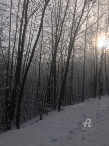 Фотография под названием "The winter sun 2" - Miler Art, Подлинное произведение искусства, Цифровая фотография