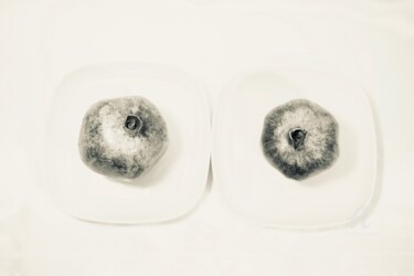 Fotografía titulada "Dos granadas" por Miler Art, Obra de arte original, Fotografía digital