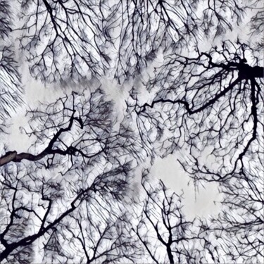 Fotografie mit dem Titel "The Lace Sky 3" von Miler Art, Original-Kunstwerk, Digitale Fotografie