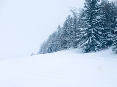 Photographie intitulée "Winter mood" par Miler Art, Œuvre d'art originale, Photographie numérique