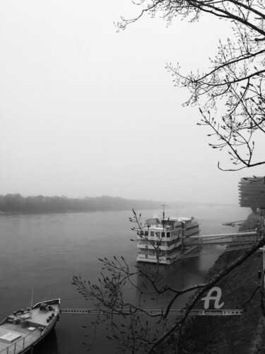 Photographie intitulée "Danube in the mist" par Miler Art, Œuvre d'art originale, Photographie numérique