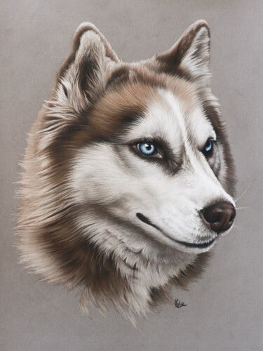 Desenho intitulada "HUSKY" por Milie Lairie, Obras de arte originais, Pastel