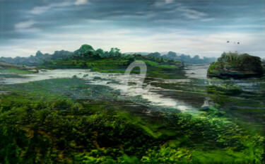 Arte digitale intitolato "Swampy landscape wi…" da Mina Nakamura, Opera d'arte originale, Lavoro digitale 2D