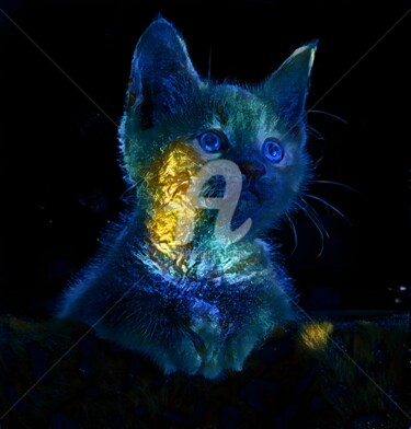 Digitale Kunst mit dem Titel "Glowing silhouette…" von Mina Nakamura, Original-Kunstwerk, Fotomontage