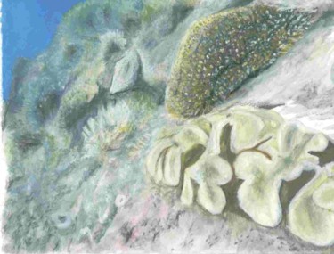 Peinture intitulée "corail" par Yanick Douet, Œuvre d'art originale