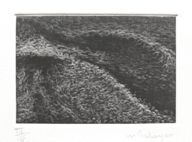 Incisioni, stampe intitolato "Empreinte du vent" da Mine Palayer, Opera d'arte originale, incisione