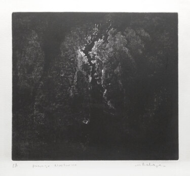Impressões e gravuras intitulada "Passage nocturne" por Mine Palayer, Obras de arte originais, Água forte