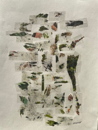 Collages intitulée "Nature 2" par Mino, Œuvre d'art originale, Collages