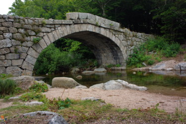 Fotografia zatytułowany „Pont sur le Tarn  (…” autorstwa Miodrag Aubertin, Oryginalna praca