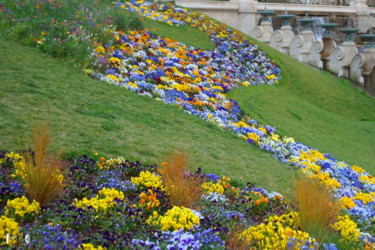 Photography titled "Fleurs du palais Lo…" by Miodrag Aubertin, Original Artwork