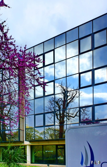 Fotografía titulada "Nature et urbanisme…" por Miodrag Aubertin, Obra de arte original