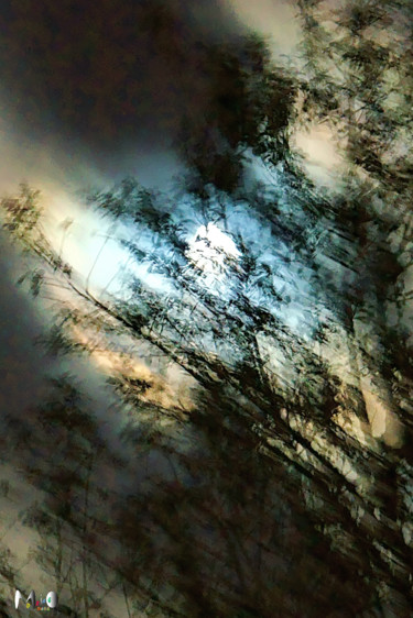 Photographie intitulée "Clair de lune 04" par Miodrag Aubertin, Œuvre d'art originale, Photographie numérique