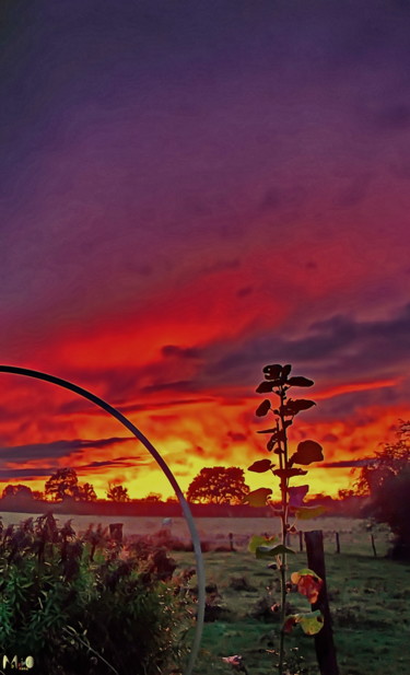 coucher de soleil 28 Photographie intitulée "coucher de soleil 28" par Miodrag Aubertin, Œuvre d'art originale,
