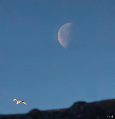 Fotografia zatytułowany „La lune et le héron” autorstwa Miodrag Aubertin, Oryginalna praca