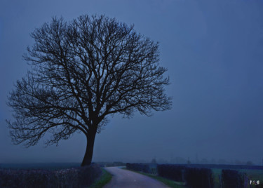 Fotografie getiteld "Arbre 44" door Miodrag Aubertin, Origineel Kunstwerk