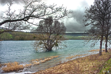 Photographie intitulée "Lac de Grosbois-en-…" par Miodrag Aubertin, Œuvre d'art originale
