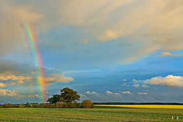 Fotografia intitolato "Arc en ciel 04" da Miodrag Aubertin, Opera d'arte originale