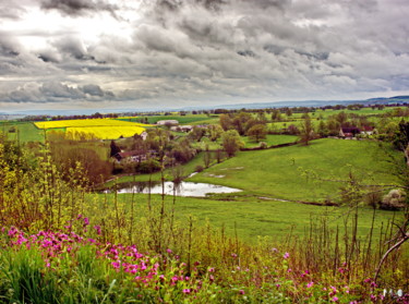 Photography titled "Flée en côte d'or 04" by Miodrag Aubertin, Original Artwork