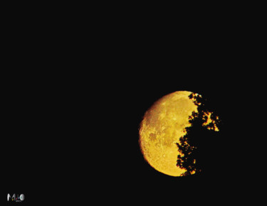 Fotografie mit dem Titel "La lune 19" von Miodrag Aubertin, Original-Kunstwerk